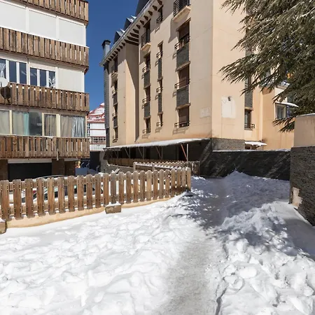 Bibo * Sierra Nevada